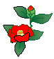 redroseslil.gif (1997 bytes)